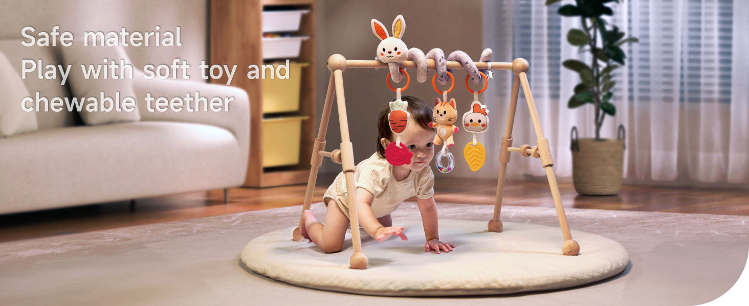 car seat toys