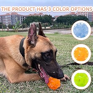 blue dog ball orange dog ball green dog ball