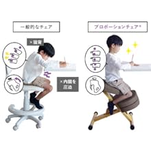 宮武製作所 プロポーションチェア バランスチェア 姿勢矯正 宮武製作所 プロポーションチェア バランスチェア 姿勢矯正 大人