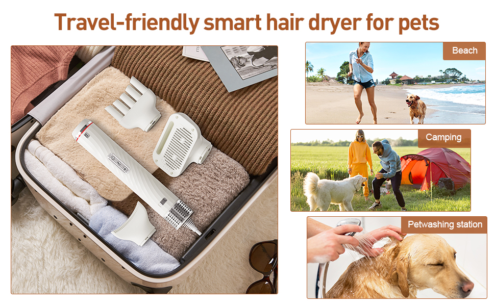 dog grooming supplies