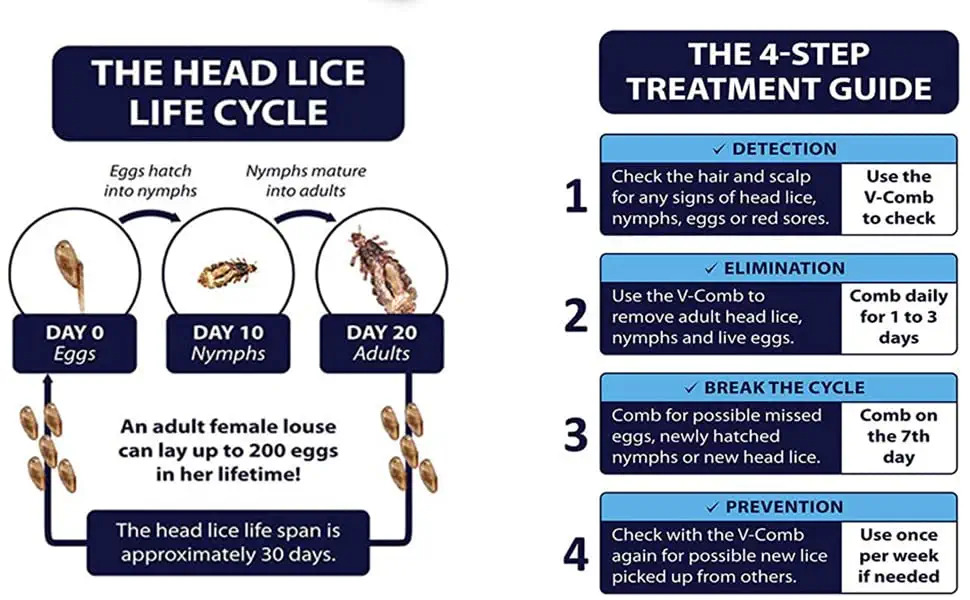 un diagrama del tratamiento de los piojos
