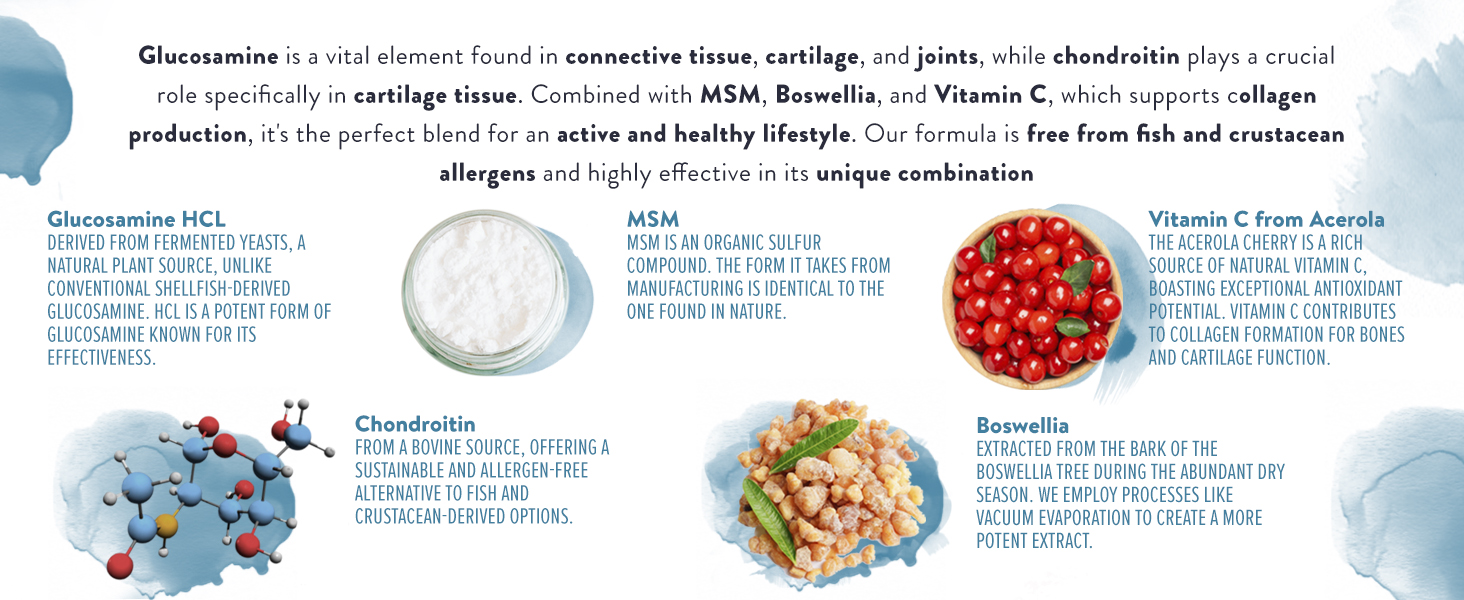 Glucosamine and Chondroitin High Strength + MSM, Boswellia Extract and Vitamin C (3 Capsules