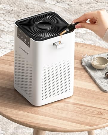 Air Purifier with Aromatherapy