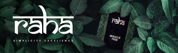 MIRACLE TREE - MORINGA