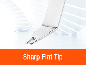 Sharp Flat Tip