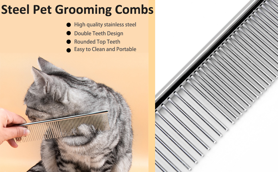 Yosh transerotik rasmlar