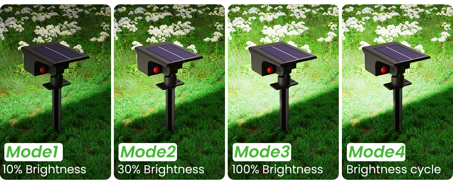 solar garden lights