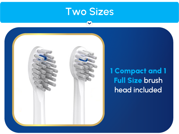 Image of two brush head sizes, with text reading 1 compact and 1 full size brush head included