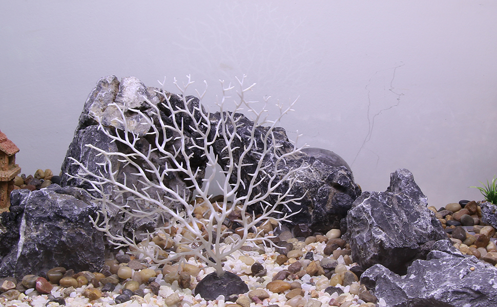 Coral Reef Decor