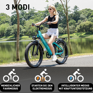 3 MODI