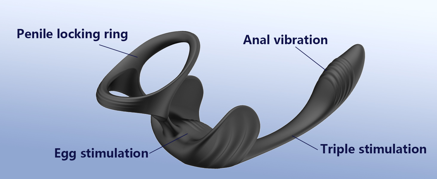 anal plug