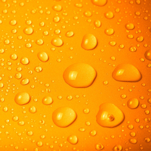 waterproof
