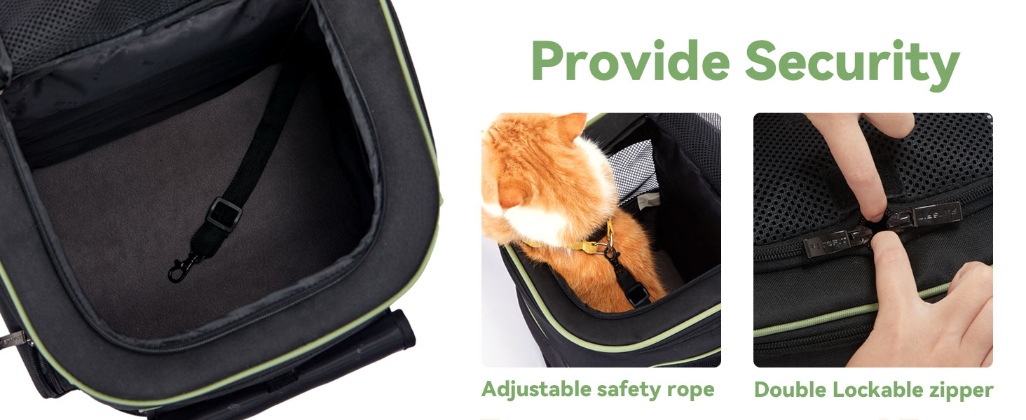 dog backpack carrier