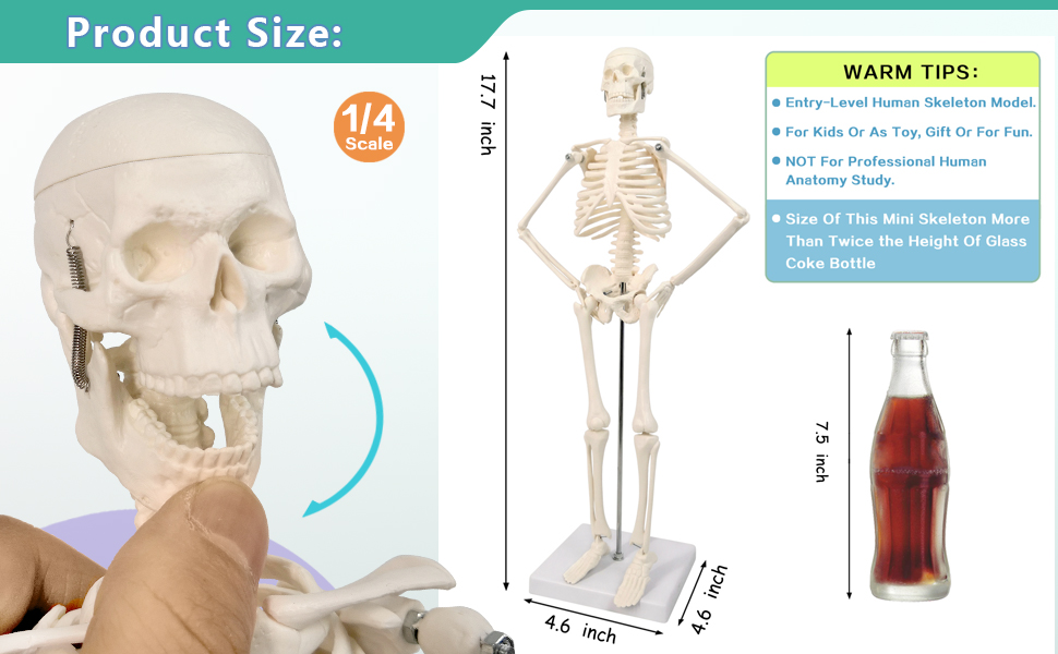 Large manufacture image 2