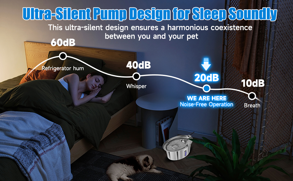 water drinking for cat