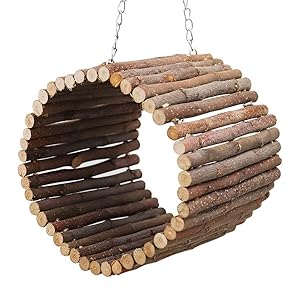 Bird Parrot Swing Toys