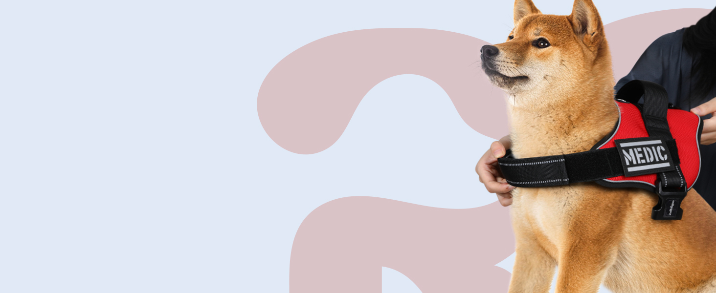 Easy Wearing dog harness