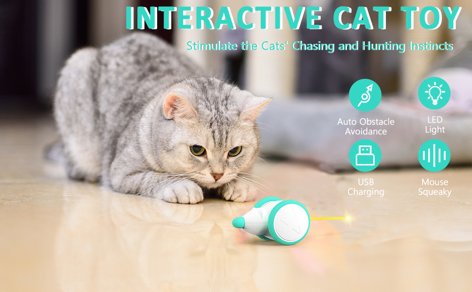 Yiminto Interactive Cat Toys for Indoor Cats Adult, 2022 Automatic Cat Toy with LED Lights