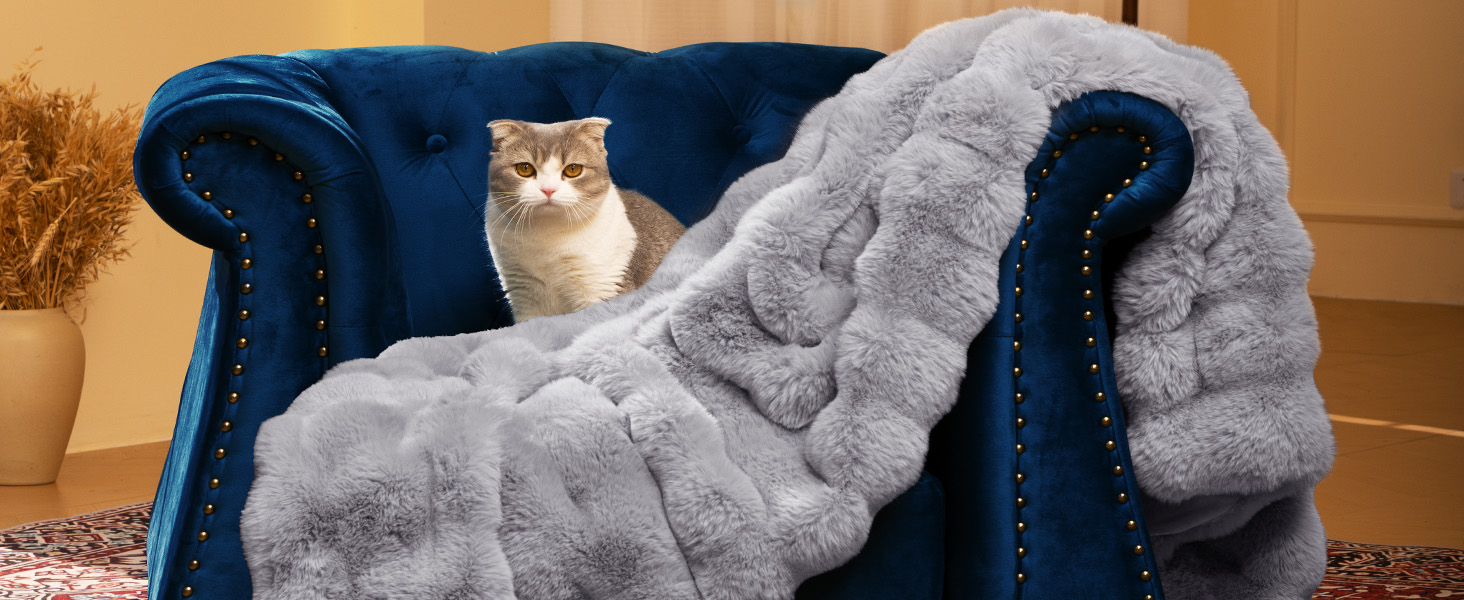 bubble blanket
