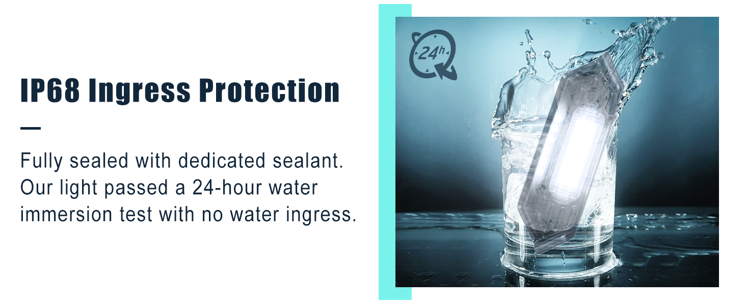 raptor lights tacoma 2024