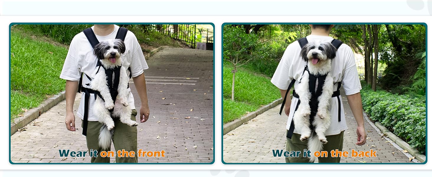 dog carriers for small dogs