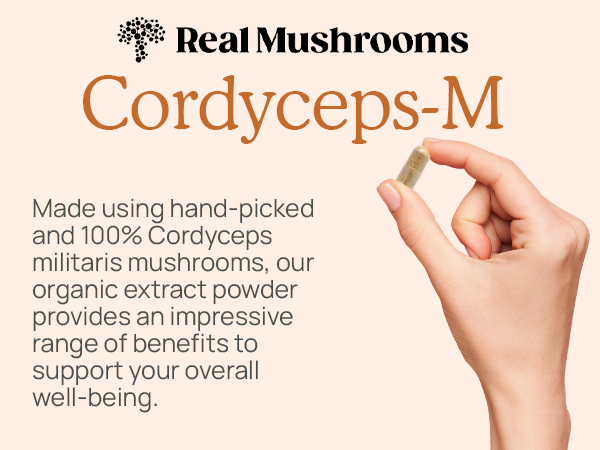 Cordyceps-M