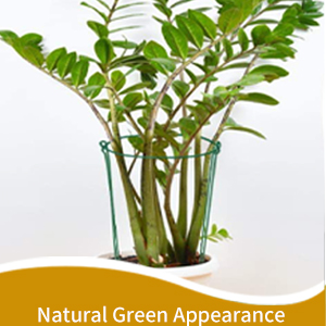 plant support detail