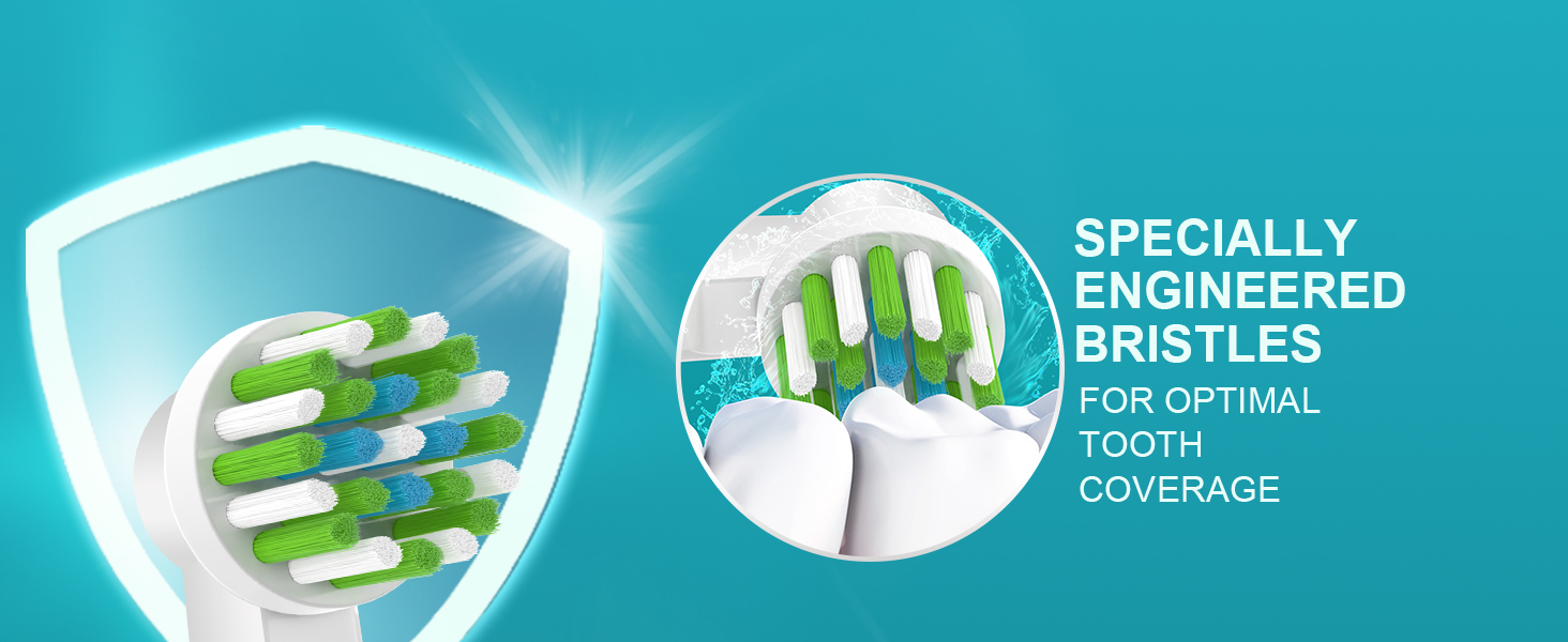 replacement toothbrush heads