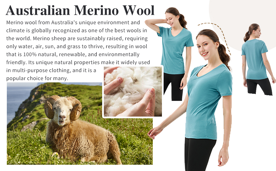 Merinowolle Tshirt
