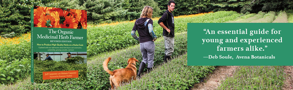 herb, organic, medicinal herbs