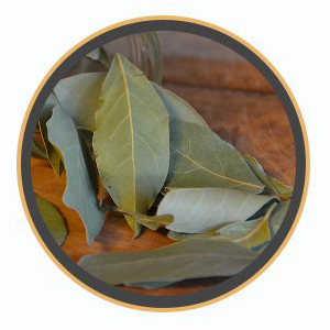 Bay Essential Oil