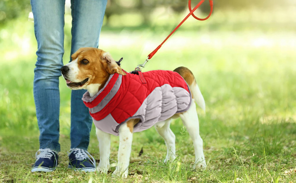 Lelepet Dog Winter Coat, Waterproof Dog Warm Jacket for Small Medium Large Dogs, Reflective Pet