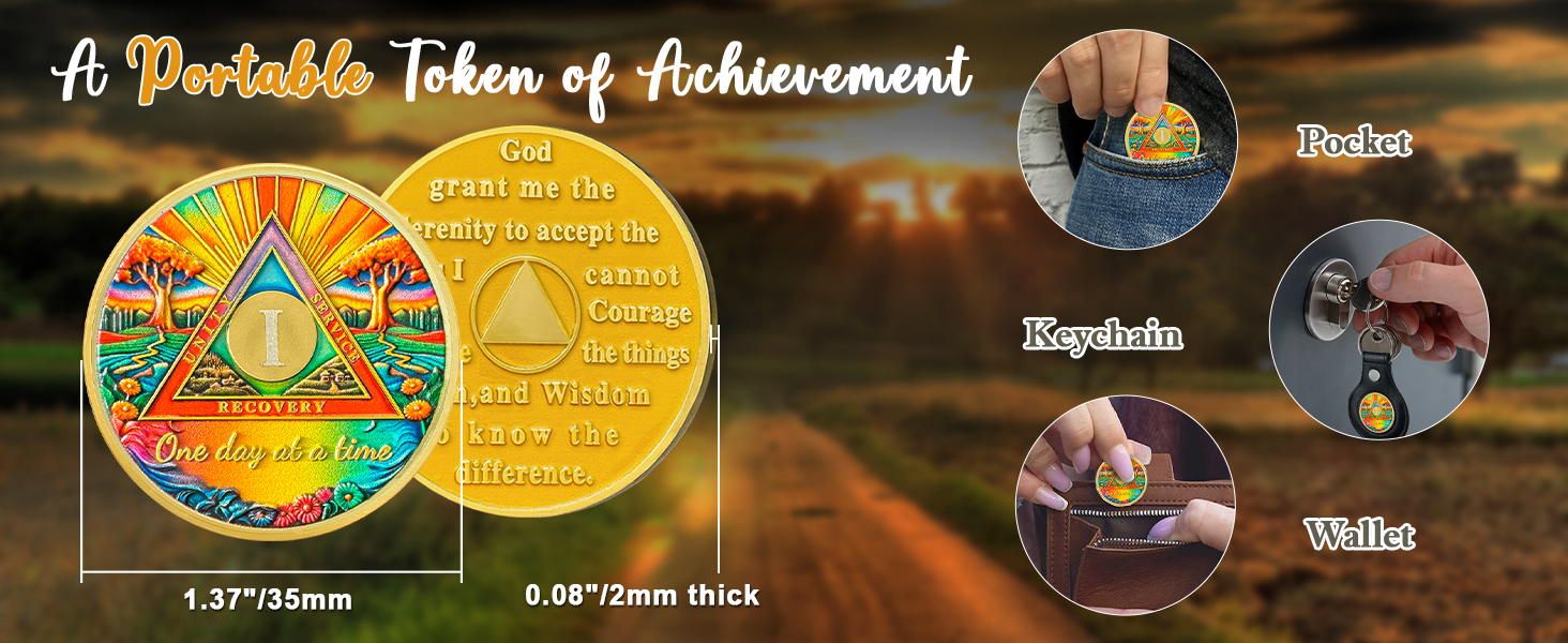 sober coin, sober chip