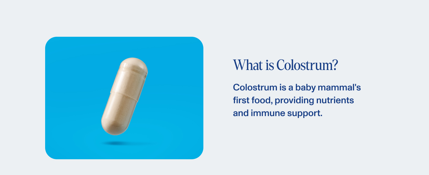 colostrum