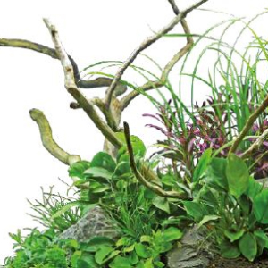 Small manufacture image 2