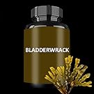 sea moss burdock root bladderwrack, bladderwrack capsules, irish sea moss bladderwrack burdock root