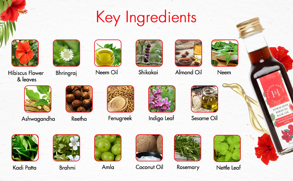 SPN-BNB85 HIMALAYAN ORIGINS organic Hibiscus Hair oil with neem hair growth and hair fall control 