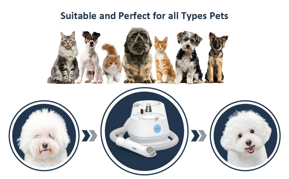 Suitable and Perfect for all Types Pets