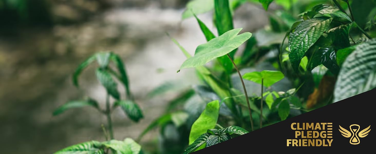 Large manufacture image 6