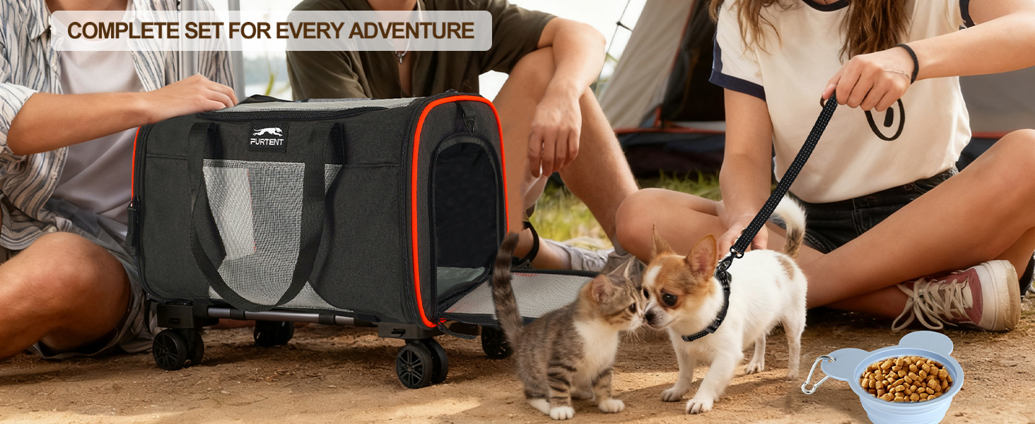 pet stroller for cats