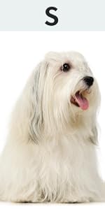 Frienperro Small Dog Costume Dog Hoodie S