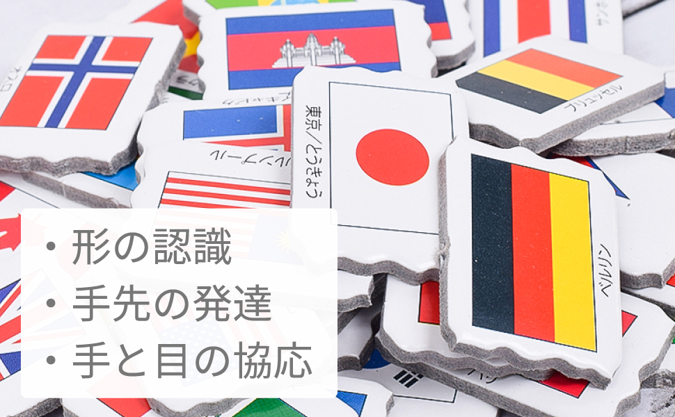 Amazon | LARSEN ラーセン フラッグパズル 日本語版 80PCS