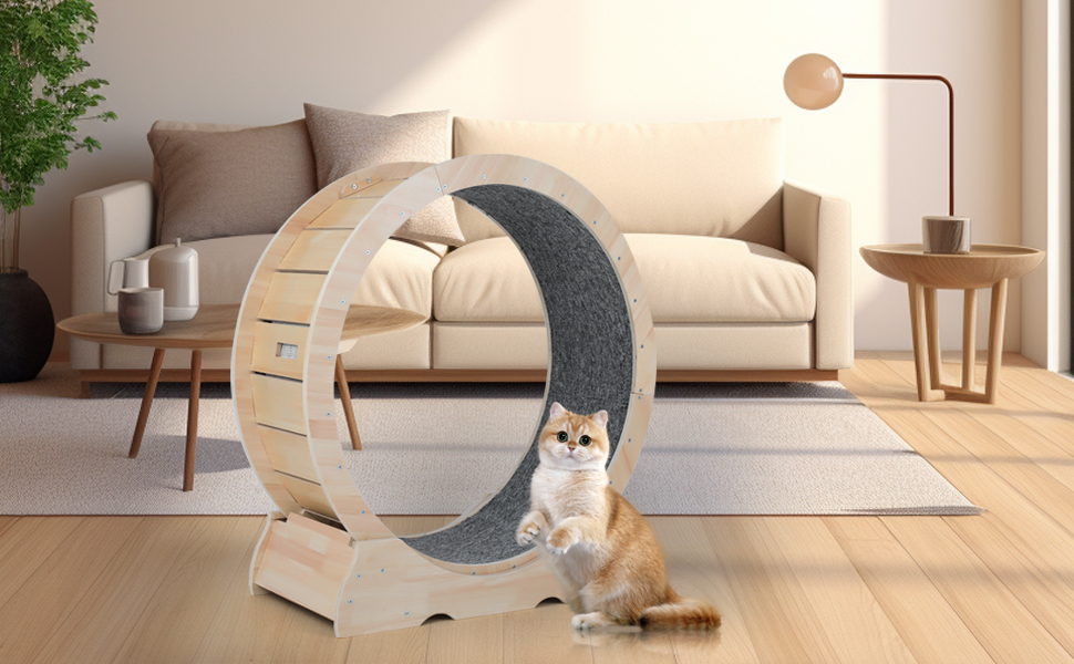 ARADNEO Cat Wheel,Cat Running Wheel ，Large Cat Wheel