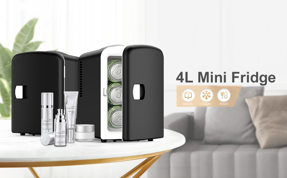 mini fridge skincare skin care