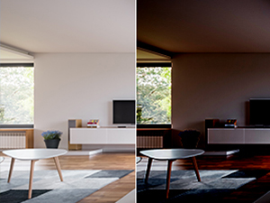 Advanced DWDR Technology