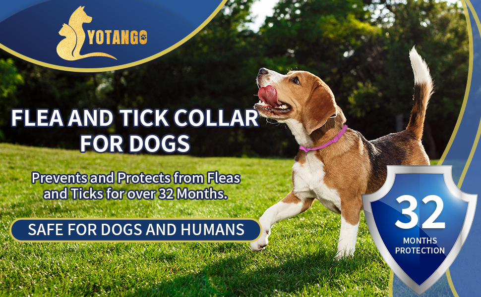 4 Pack Flea Collar for Dogs, 8 Months Flea and Tick