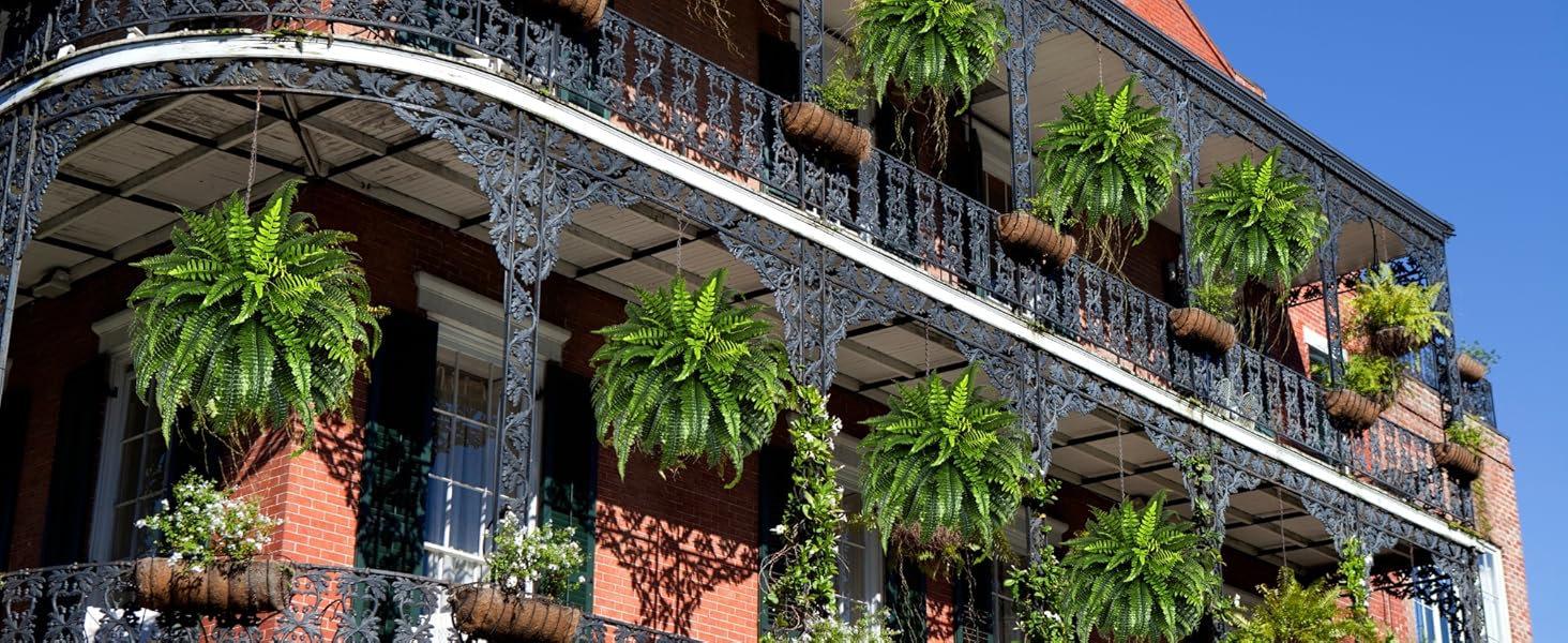 artificial boston ferns for outdoors