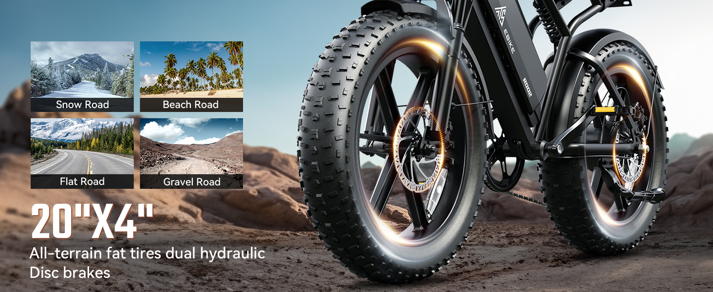 electric bike