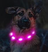 Joytale Hundehalsband Leuchtend,Led Hundehalsband USB Aufladbar für Große Mittel Kleine Hunde und...