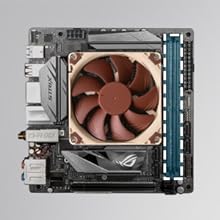 noctua